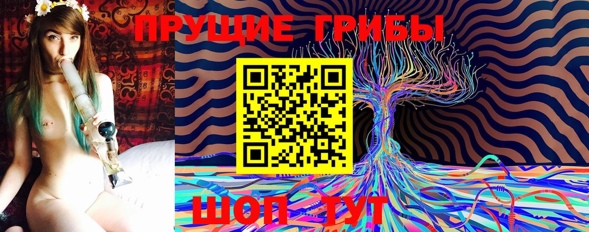 Галлюциногенные грибы Cubensis Минеральные Воды
