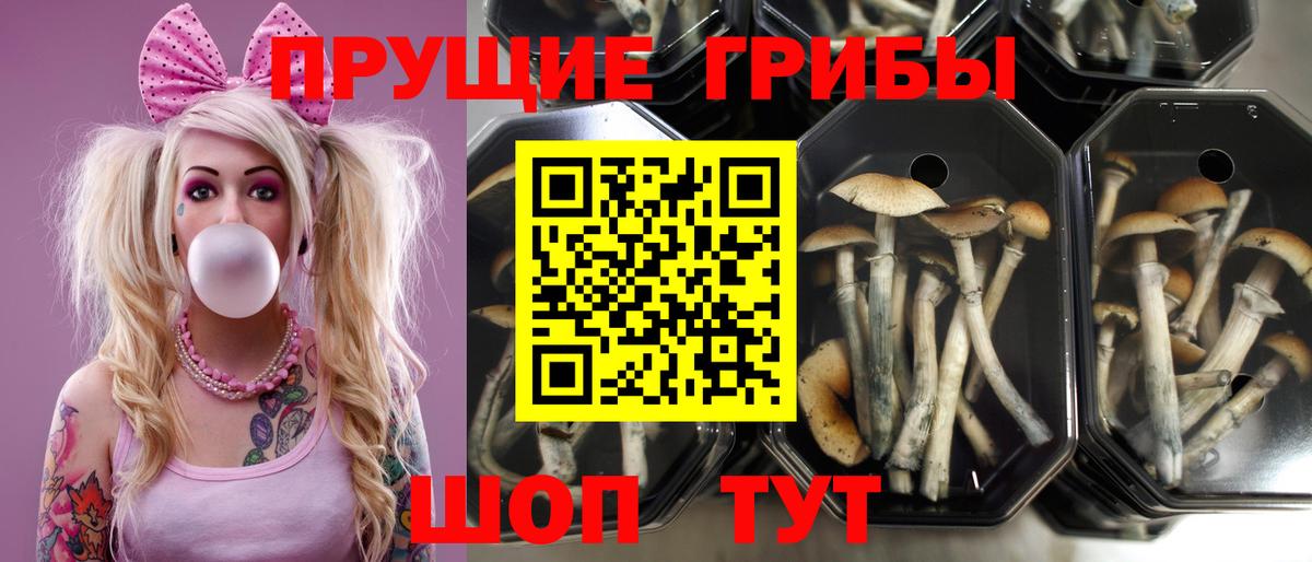 Галлюциногенные грибы мухоморы  Псилоцибиновые грибы мухоморы  Минеральные Воды  Вход с VPN 